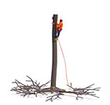 070-7972 - 1:87 - Baumabtragung